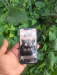I phone xs 64gb